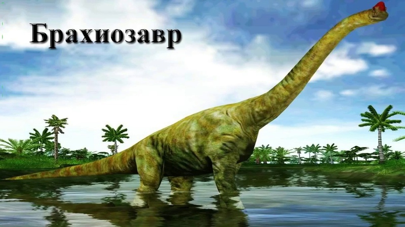 Открытки